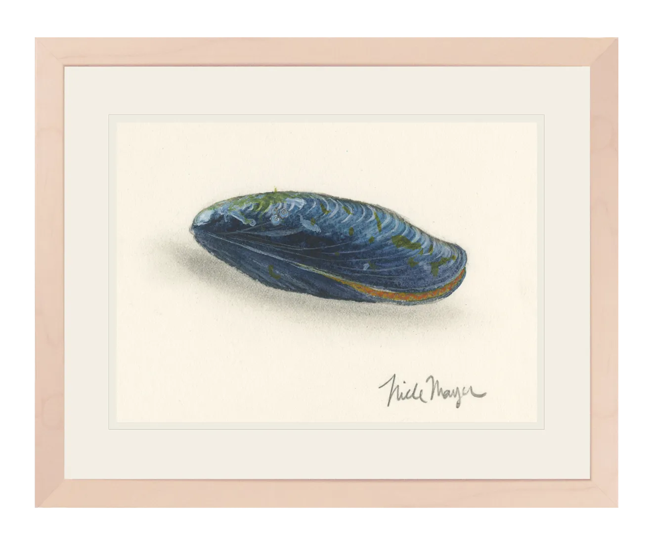 Blue Mussel Print