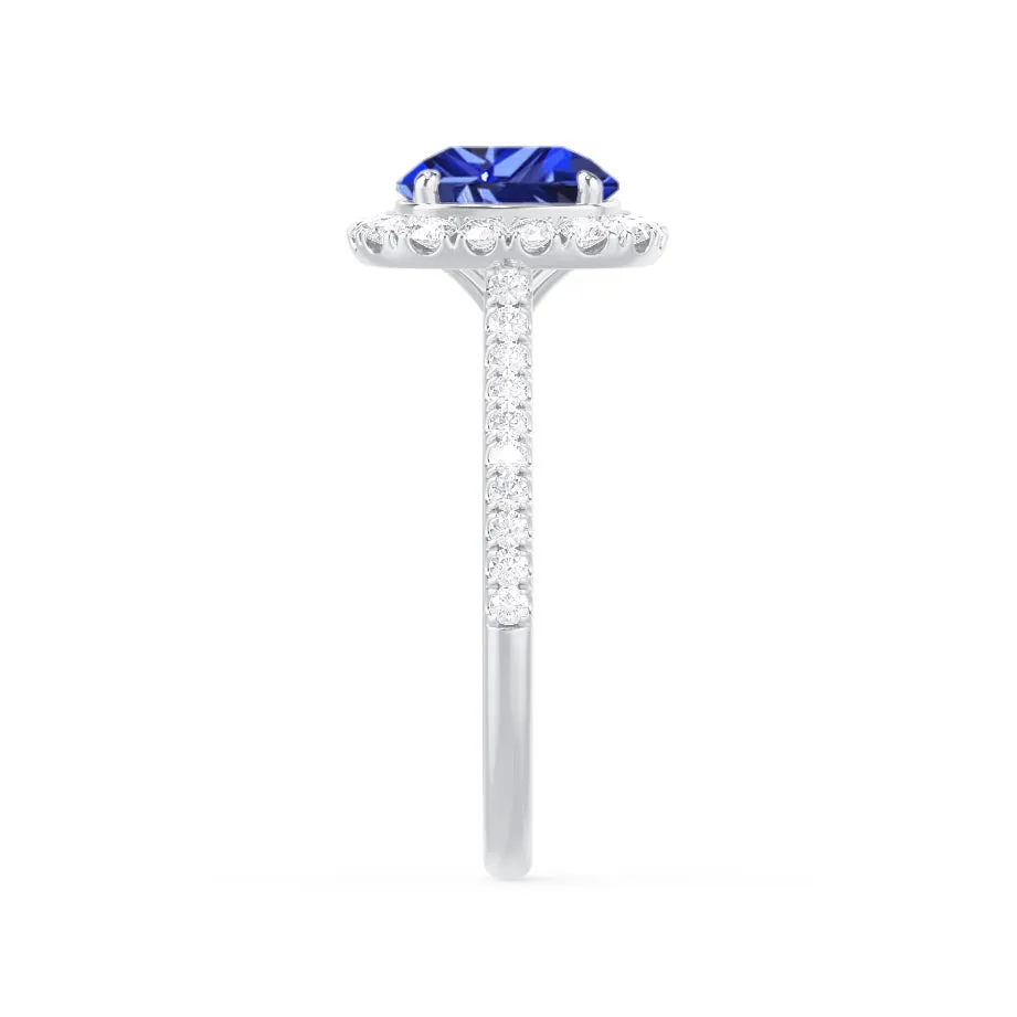 DARLEY -  Chatham® Blue Sapphire Elongated Cushion Micro Pavé 950 Platinum Halo