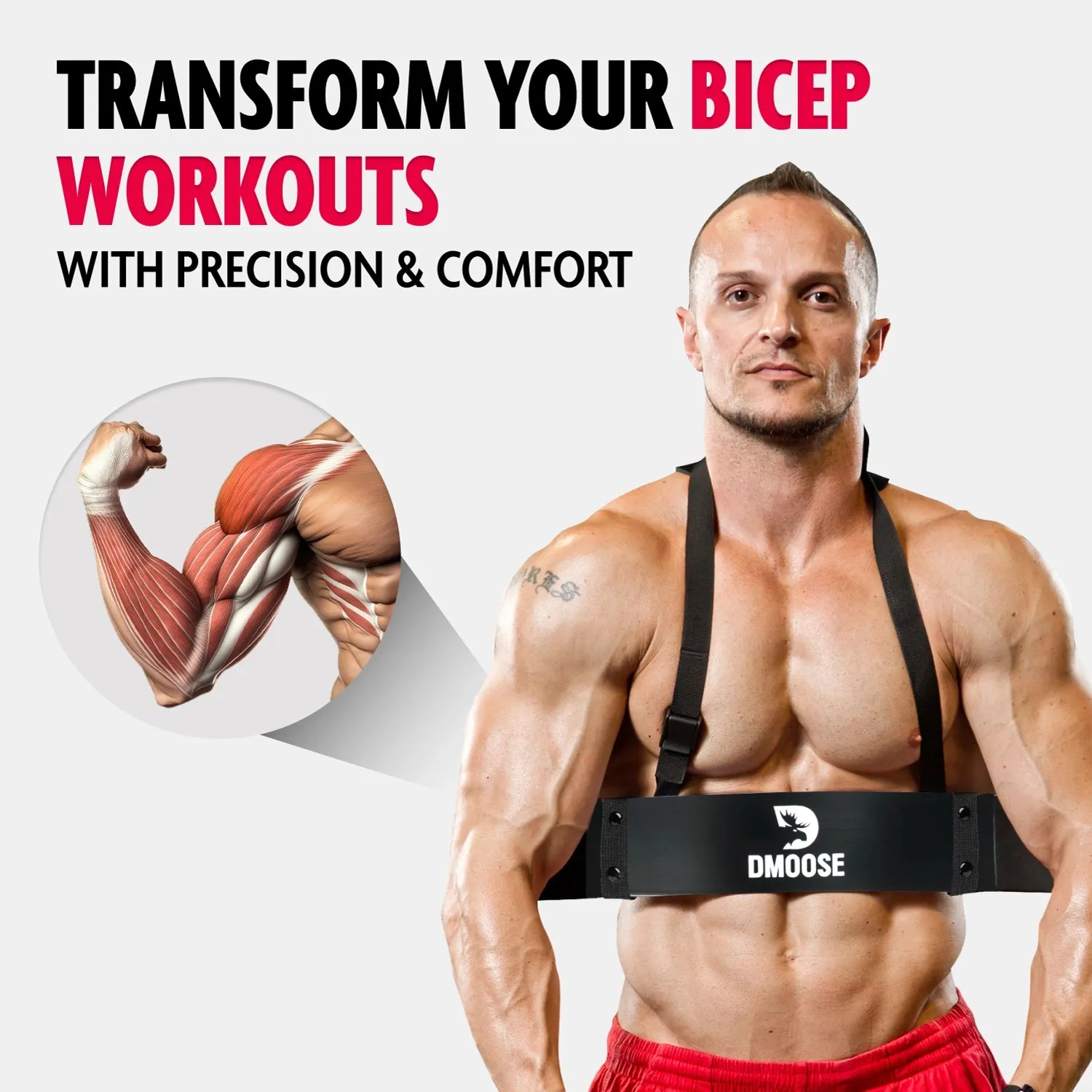 DMoose Arm Blaster for Biceps & Triceps