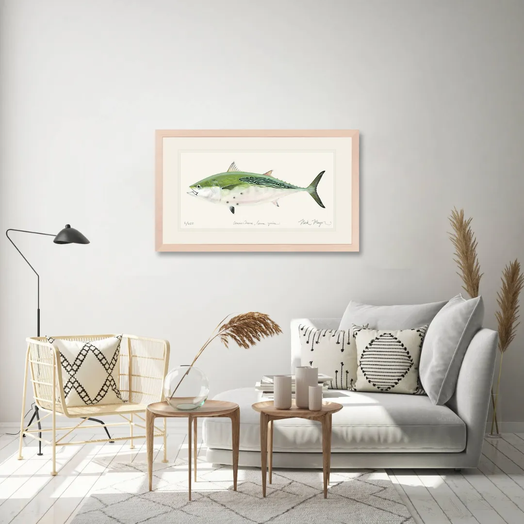 False Albacore IV Print - Best Seller