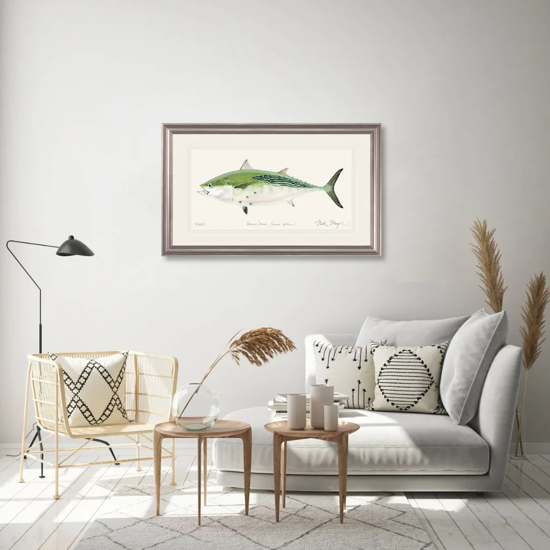 False Albacore IV Print - Best Seller