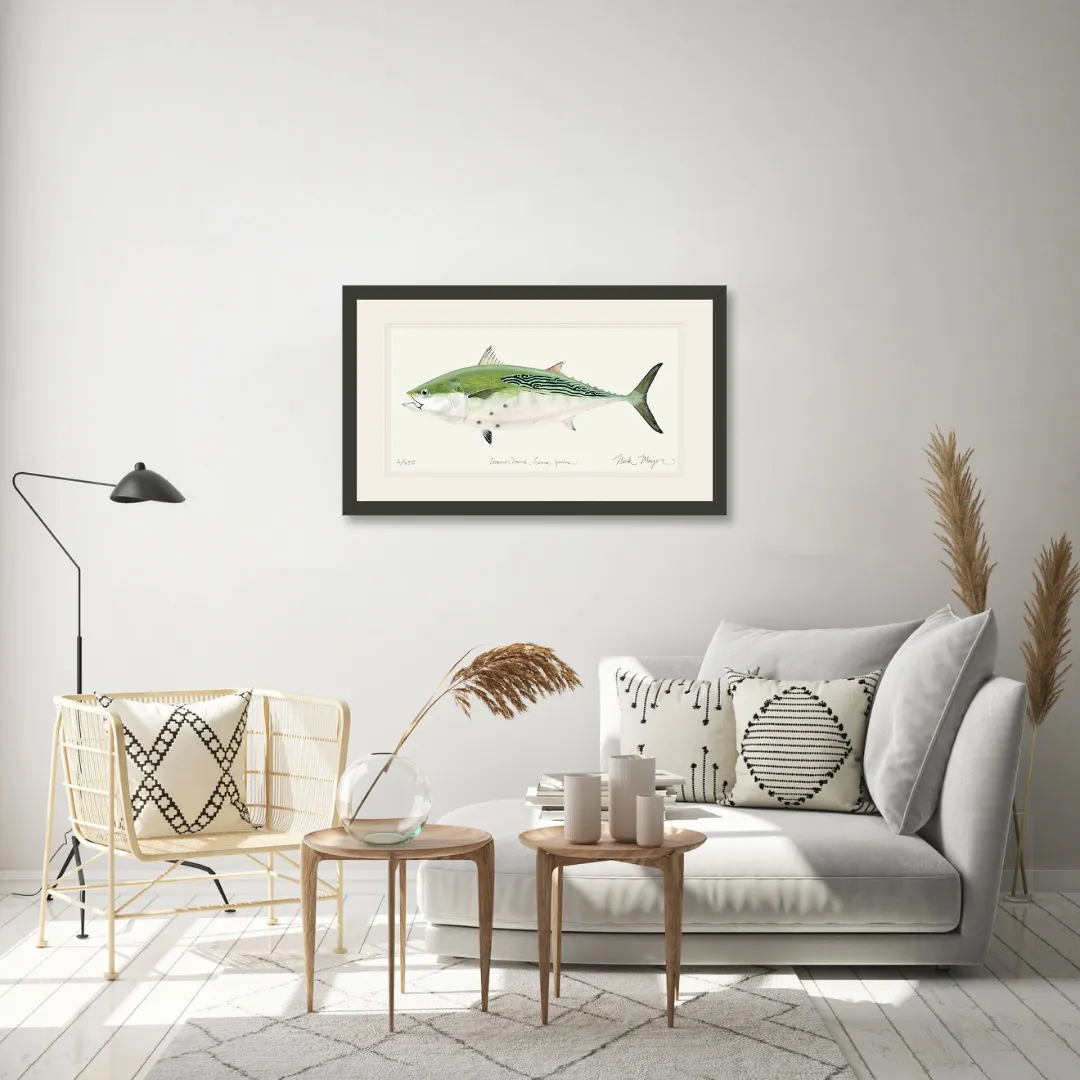 False Albacore IV Print - Best Seller