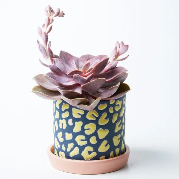 Panther Pot (Multiple Colors)