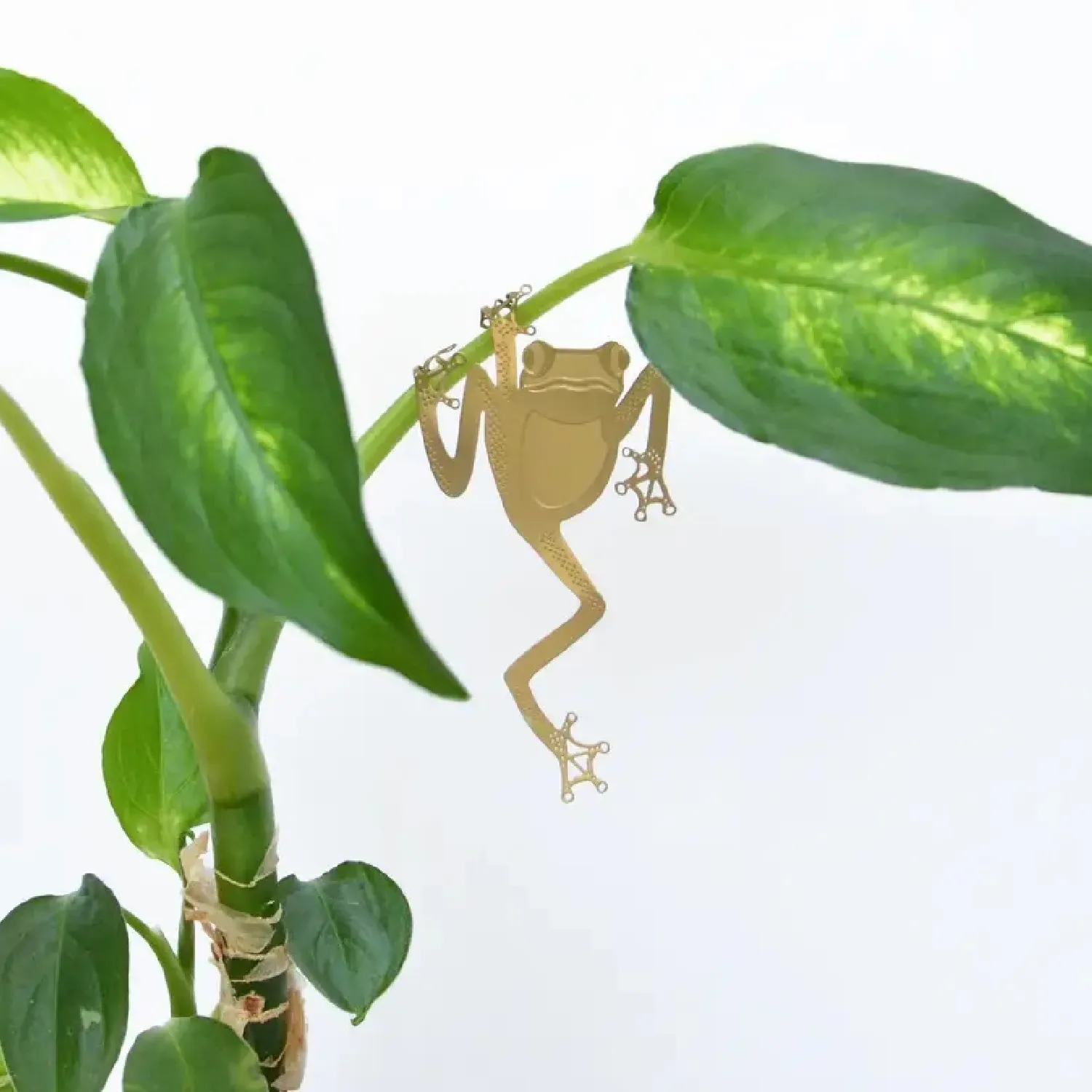 Tree Frog Plant Hanger